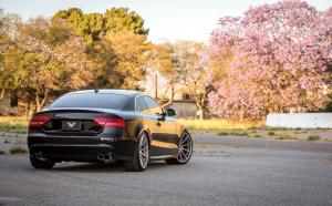 Audi S5 Coupe on Vorsteiner Wheels (V-FF 102) 2016 года 